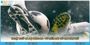 Thuật Ngữ Cá Độ Bóng Đá - Từ Điển Đầy Đủ Cho Tân Thủ